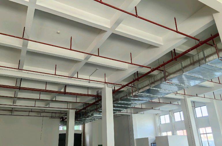 原房东红本临深配套齐全厂房低价出租