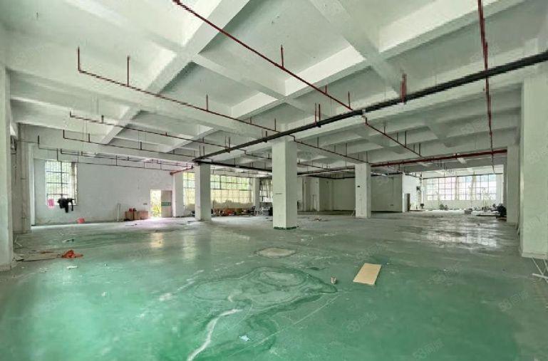 南山西丽大学城一楼1160平可分租开门  行业不限低价厂房