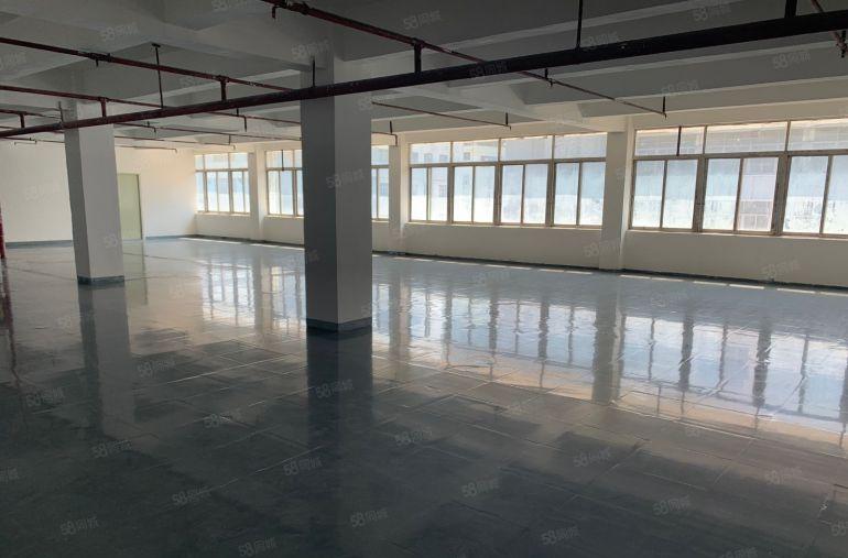 （原房东急租）100平起盐田沙头角4850平低价独院厂房