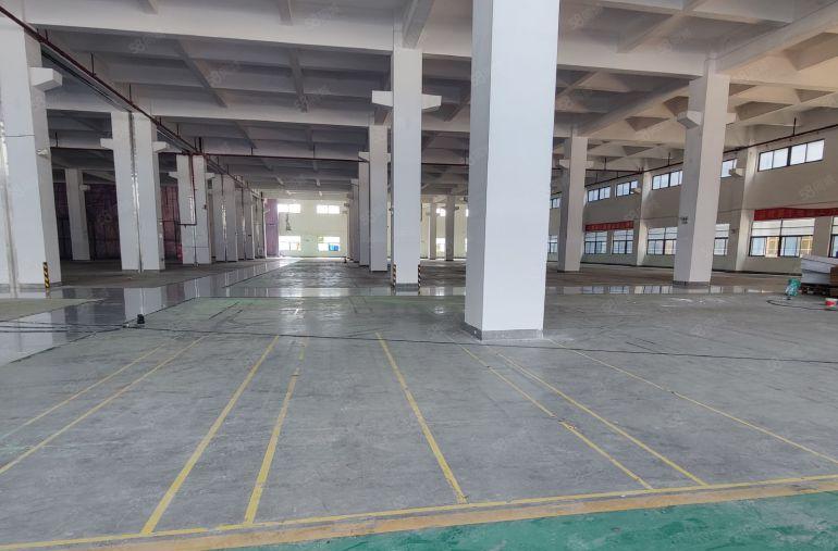 南山西丽，新出整栋原房东整层5000平方，高度6米