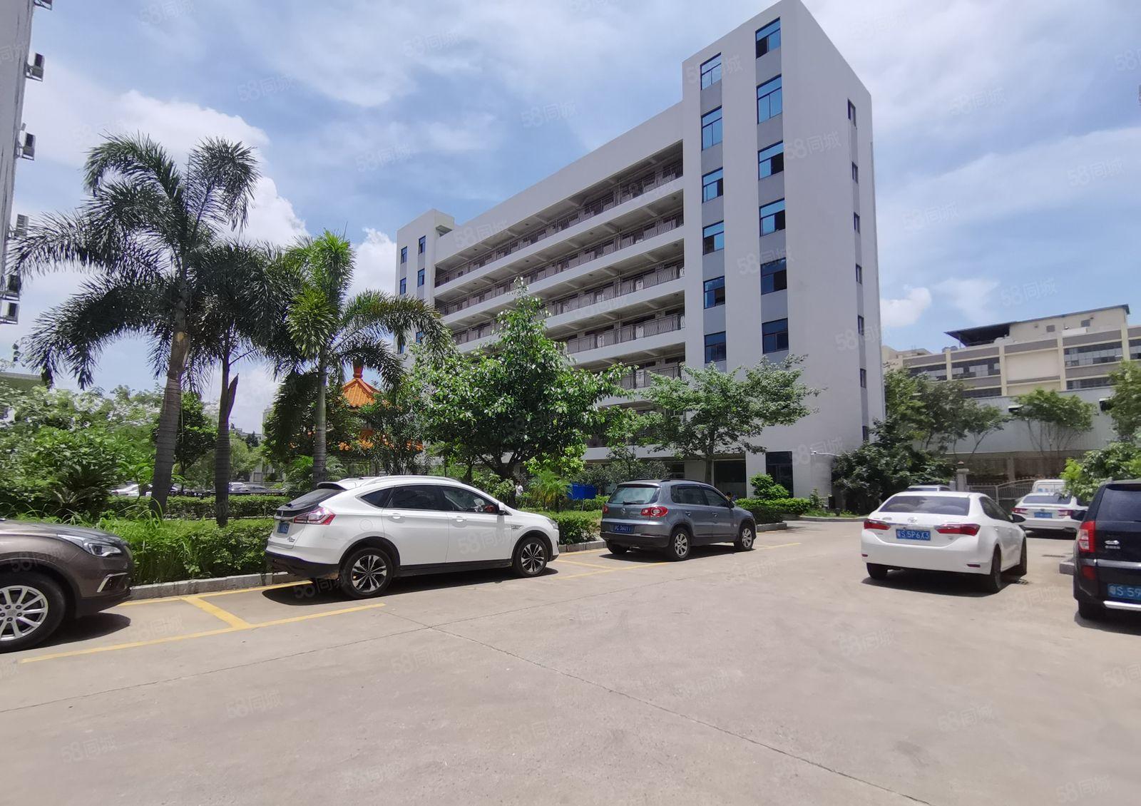 光明12000高新补贴厂 房出租，免租半年1000平起