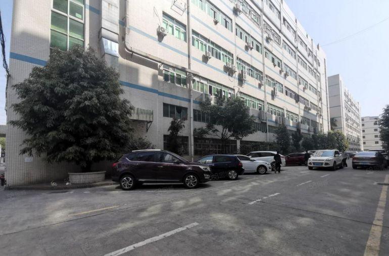 西丽留仙洞100至1000平原房东独院精装修仓库厂房低价出租