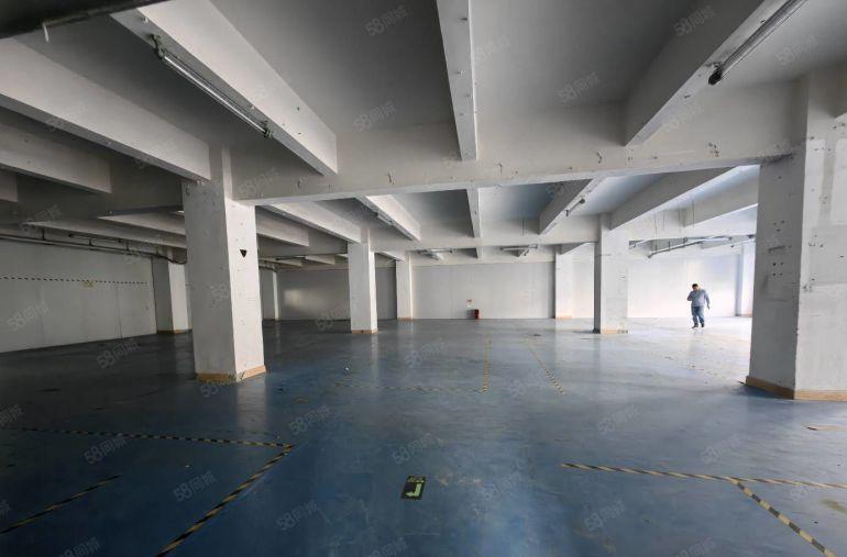 西丽大磡科技园厂房资源 200至20000平米厂房 仓库出租