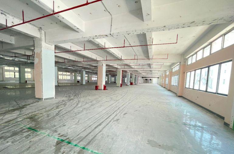 200平起 南山西丽留仙洞厂房整层3500平 可以分租