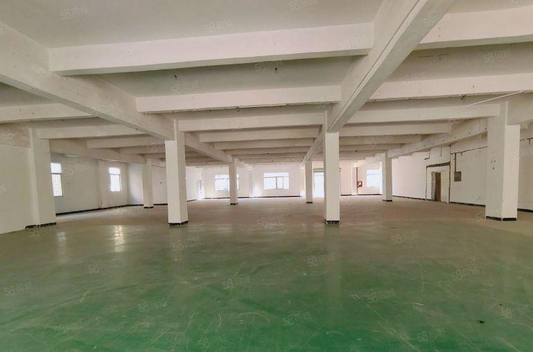 20元起租龙岗同乐工业园1600平厂房仓库出租可分租空地超大