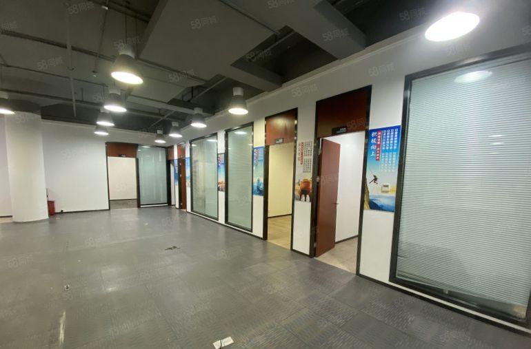 南山精装大小面积均有 免租期长 业主直租 价格便宜