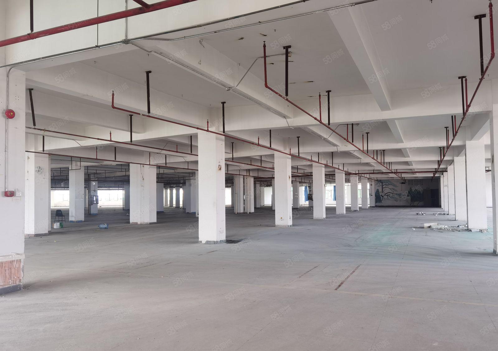 西丽原房东20000平方，实际面积出租