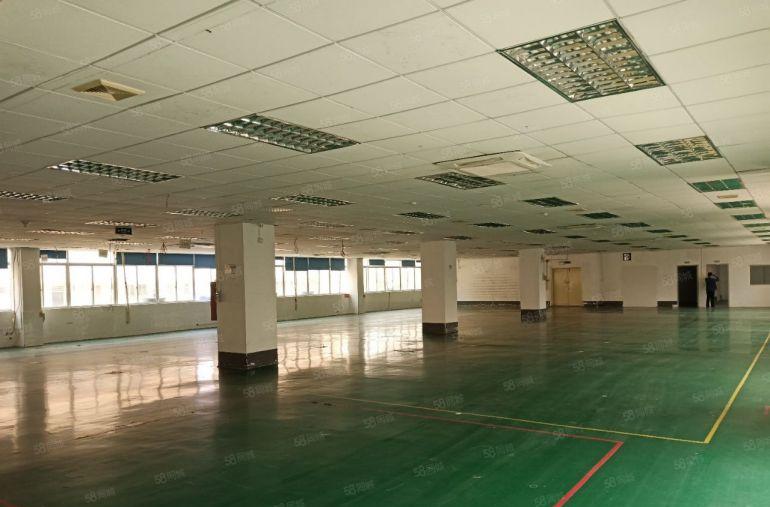 横岗六约地铁口原房东红本2000平厂房出租分租带装修可办环评