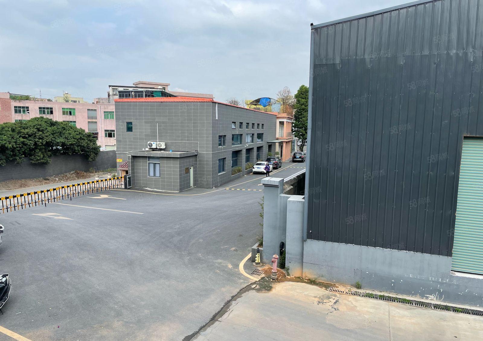 南山西丽新出物流仓库钢构23000平 可分租 消防喷淋