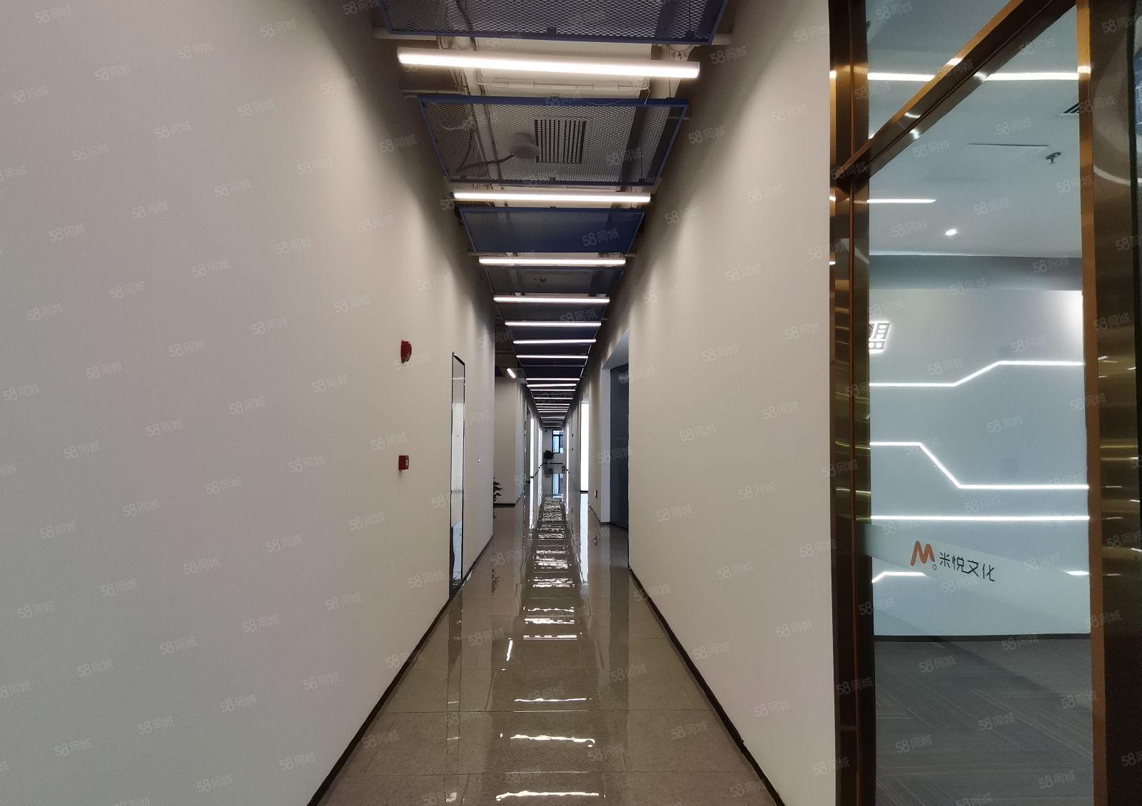 南山科技园1000平方直播电商贸易仓库写字楼厂房出租分租整租