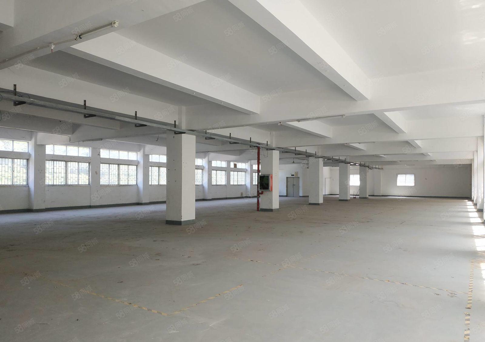 南山西丽 大磡工业区新出1500平厂房直租 带卸货平台
