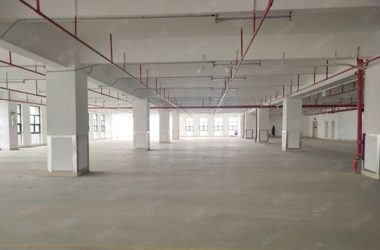 坪山工业园新出200至5000平一二楼红本厂房仓库出租大小分