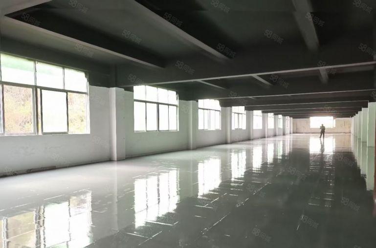 西丽高新园区500平精装修电商办公小加工低价仓库厂房出租