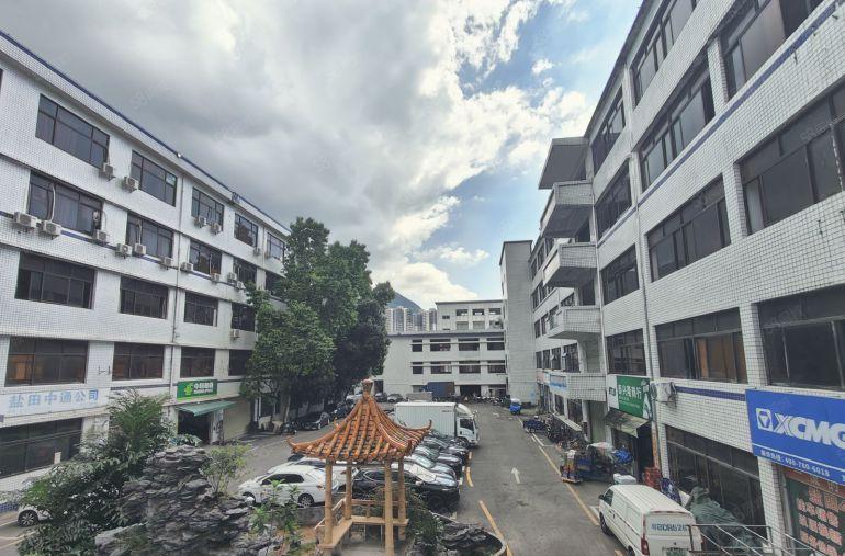 盐田一楼厂房20元房东直租80使用率0押金