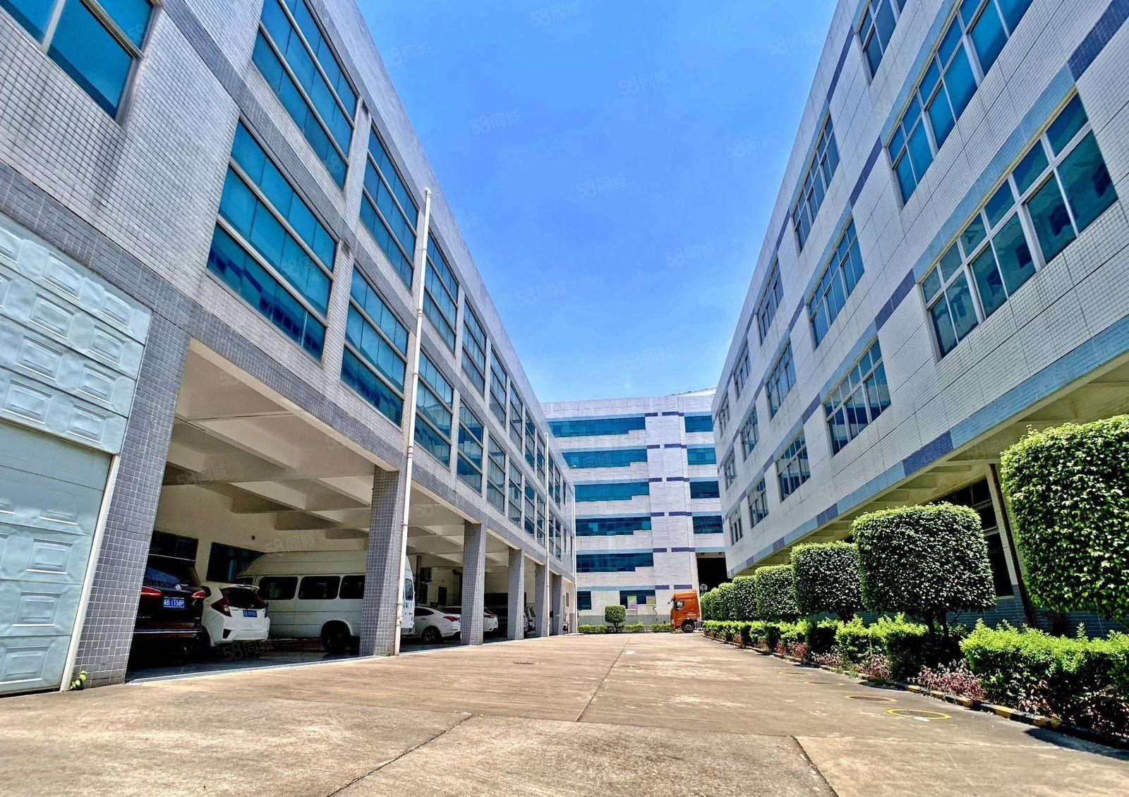 西丽高新科技园5000平一楼二楼办公室电商仓库厂房出租可分租