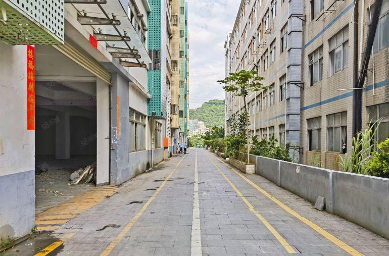 南山西丽 原房东新出一楼1350平 层高4.9米 环境好