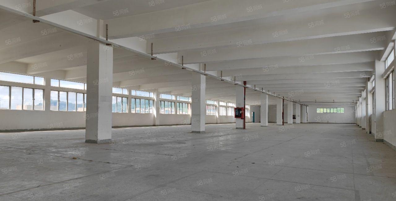 一楼1700平整层厂房仓库 西丽阳光工业区南北通650平起租