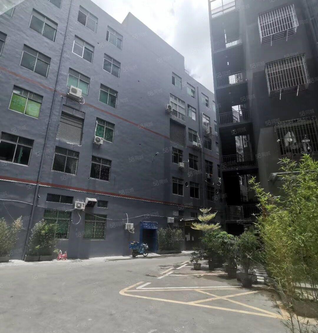 南山西丽地铁站（原房东直租）厂房160至300平新装修