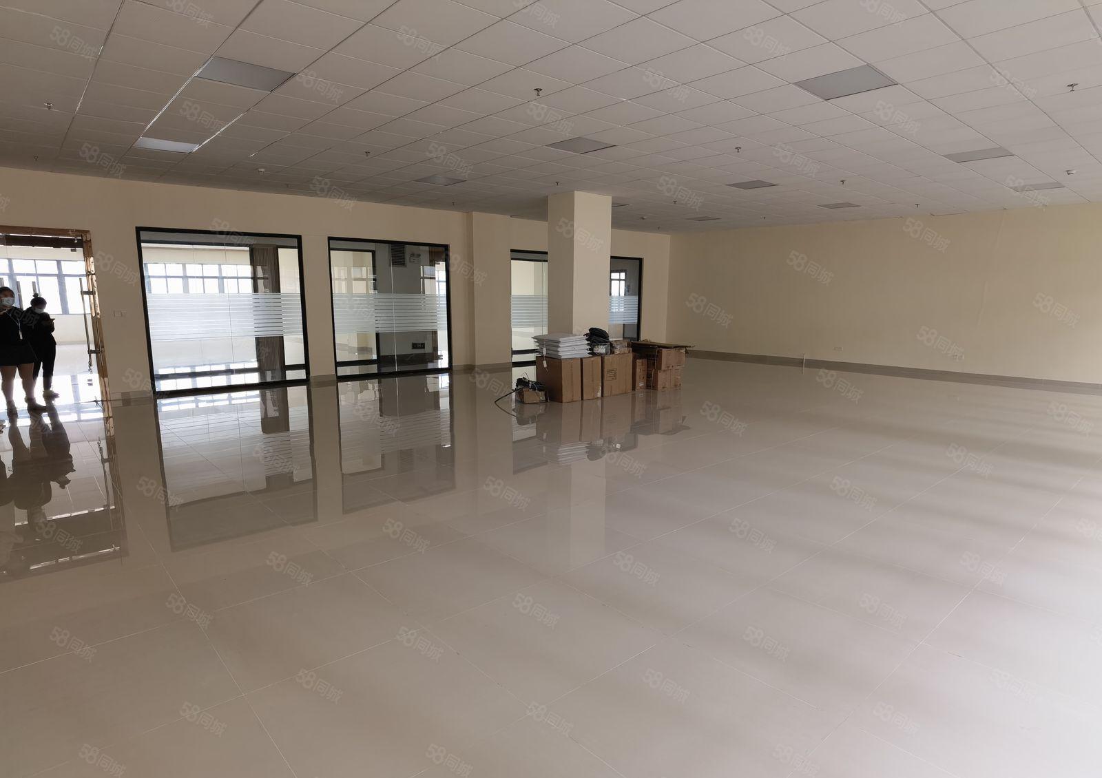 南山西丽地铁口3300平方厂房出租 300平方起分租可办公