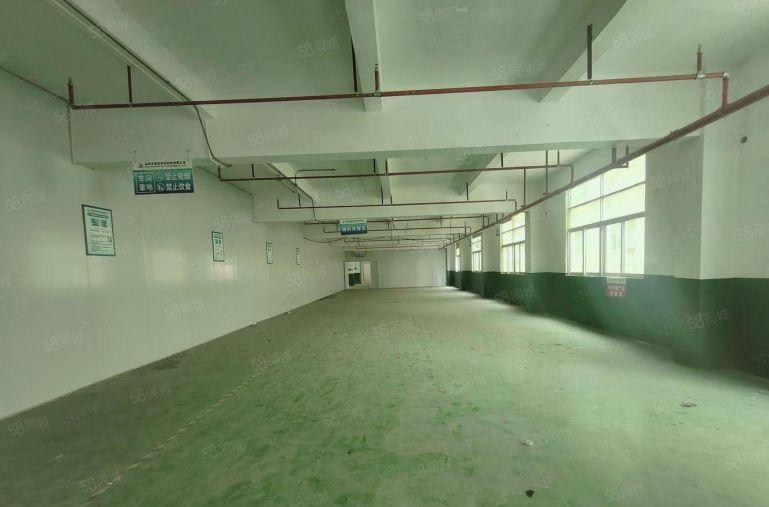 西丽地铁原房东5000平独院厂房出租可分租200平起