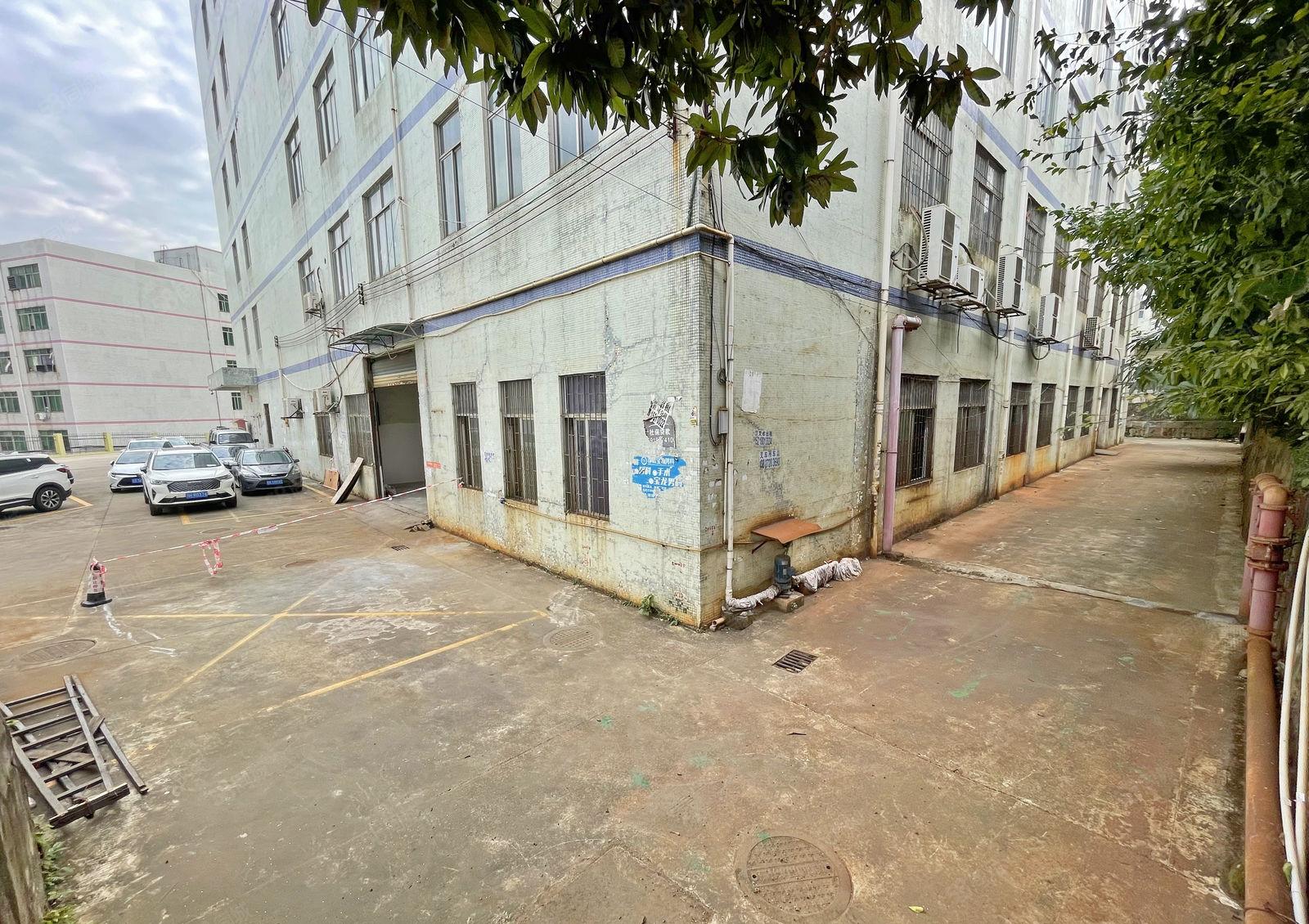 南山西丽新出一楼950平 停车免费  双侧都有卷闸门