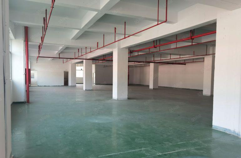 南山西丽 楼上仓库420平米 低价出租可分租