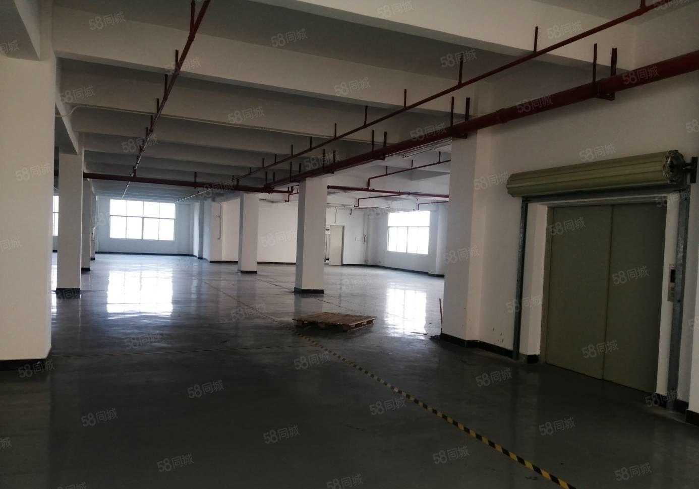 临深原房东园区独栋一到5层7500平全新地坪漆厂房招租 可分