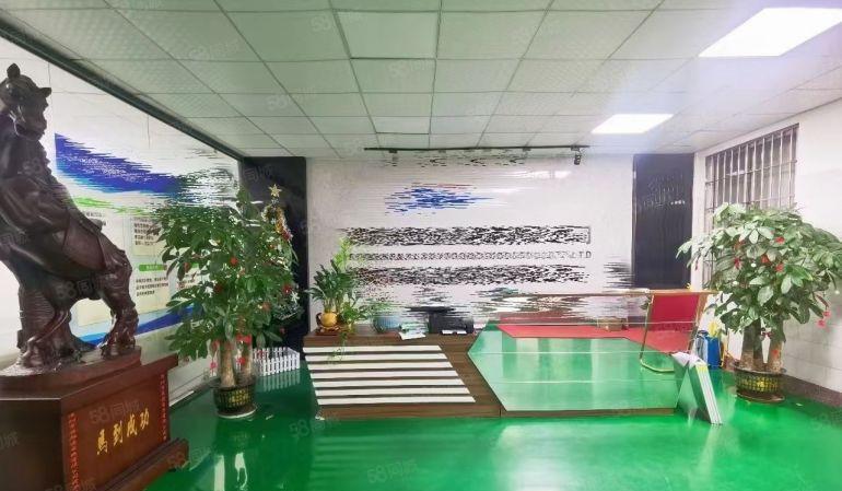 沙井原房东红本厂房整层1500平精装修无转让费出租