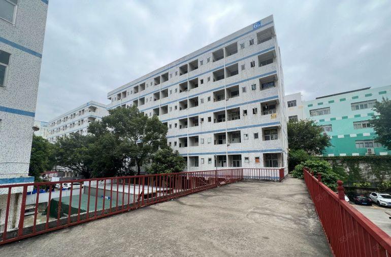 盐田附近大量宿舍楼出租50间100间带家私出租工程项目部