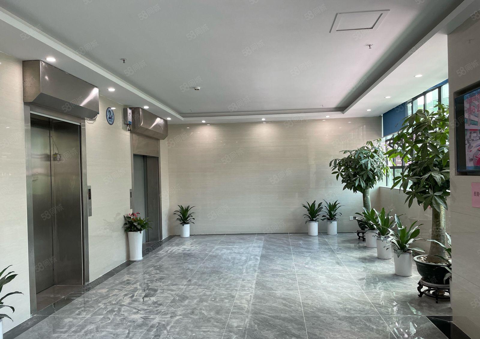 南山西丽大型园区200平至2150平 分租带精装修直租