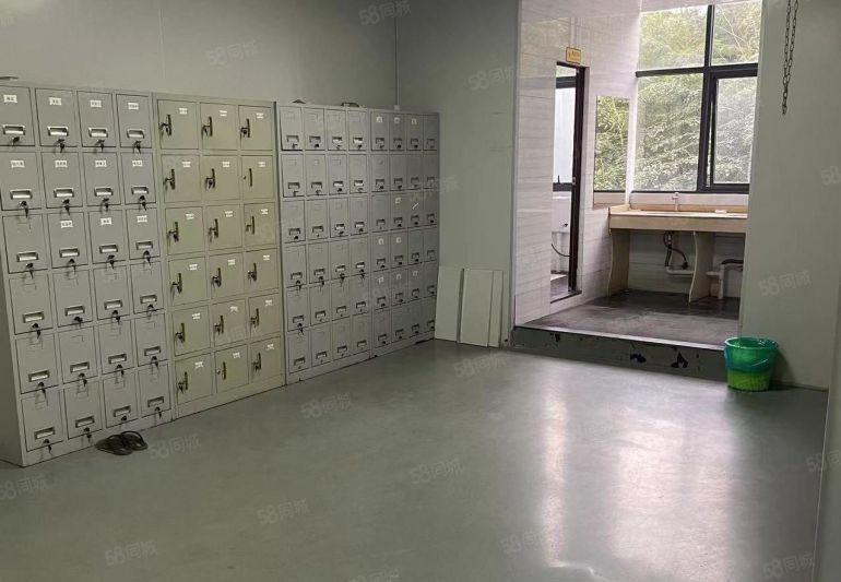 南山西丽留仙洞地铁口 精装修1600平办公电商科技等等出租