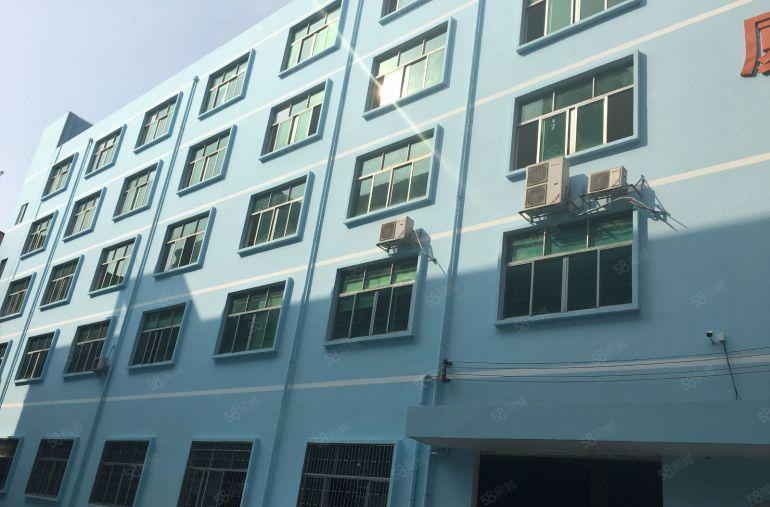 南山西丽地铁附近整层600，1200平精装修厂房仓库