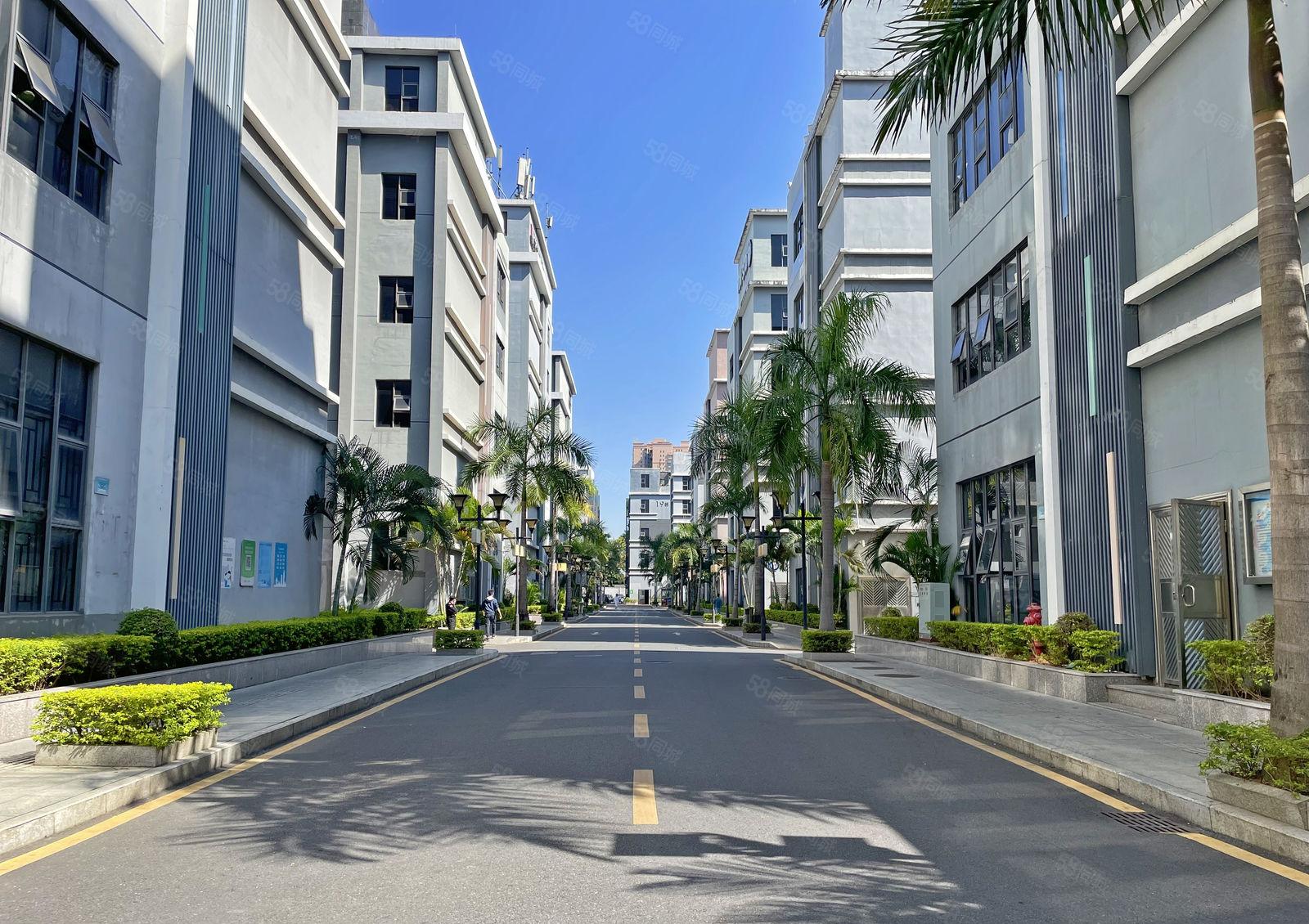 南山区 一楼整层540平方 采光很棒 研发 办公