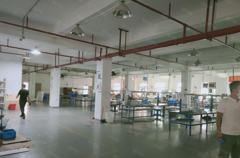 观澜福民龙观快线新出单层面积2800平米租24元