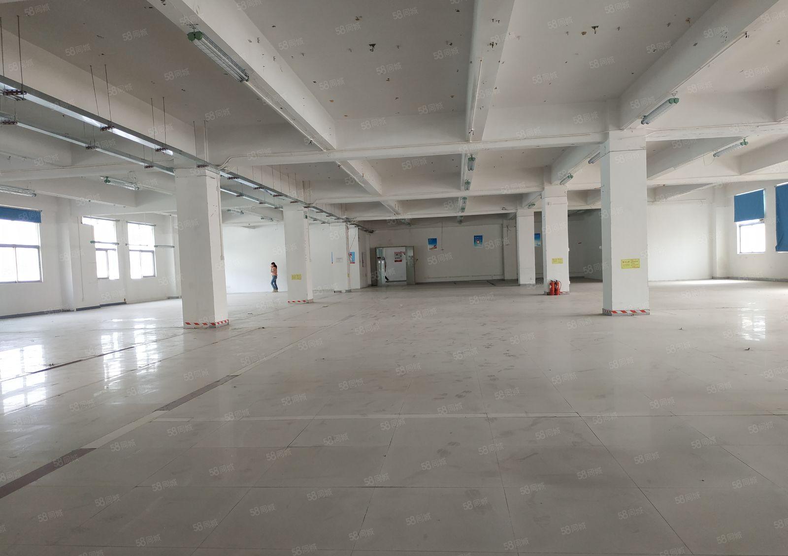 一楼1700平整层厂房仓库 西丽阳光工业区南北通650平起租