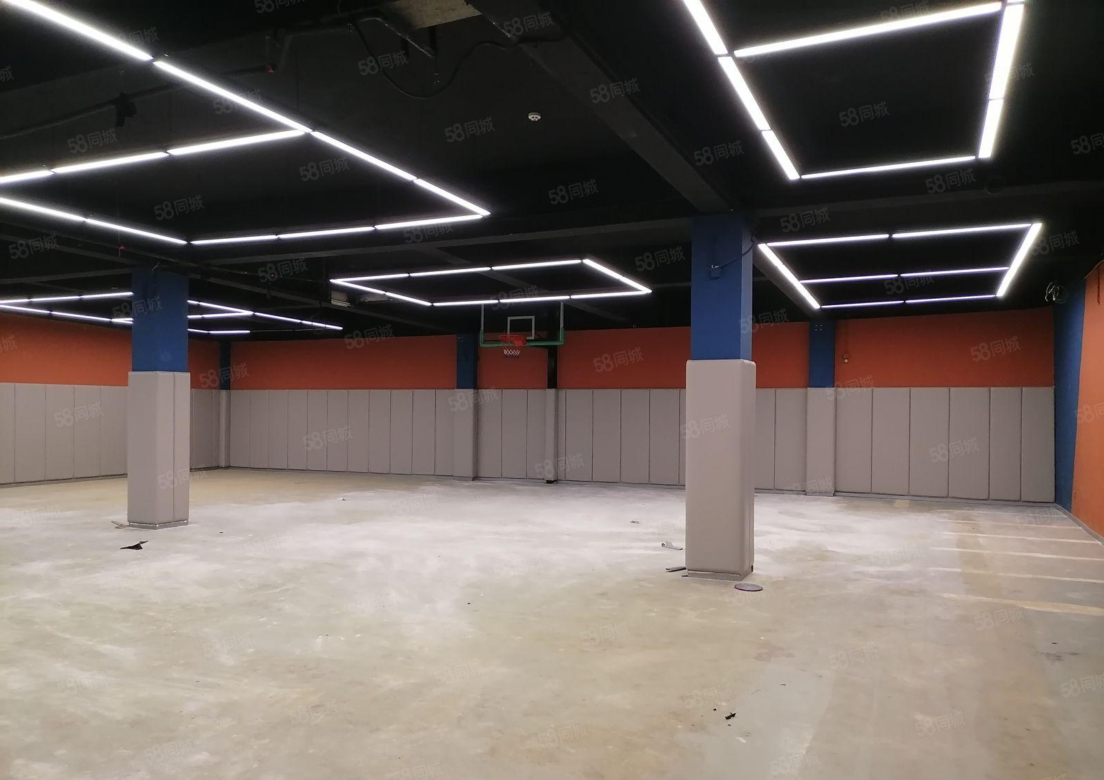 物业直租南山300平物流仓库，适合递物流，配送，食品饮品批发