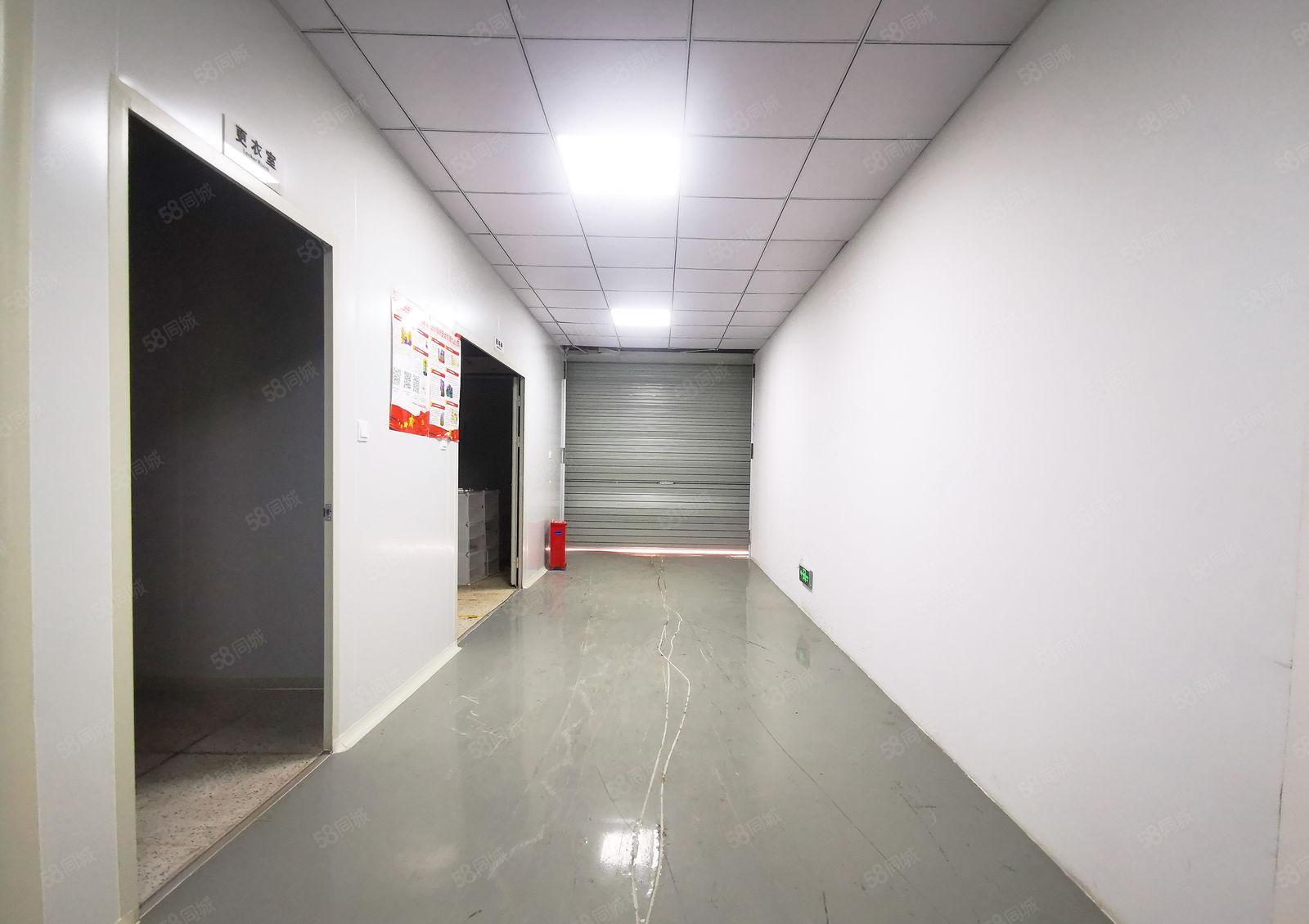 南山西丽 独院厂房出租 2栋钢构厂房 带无尘车间和6间宿舍租