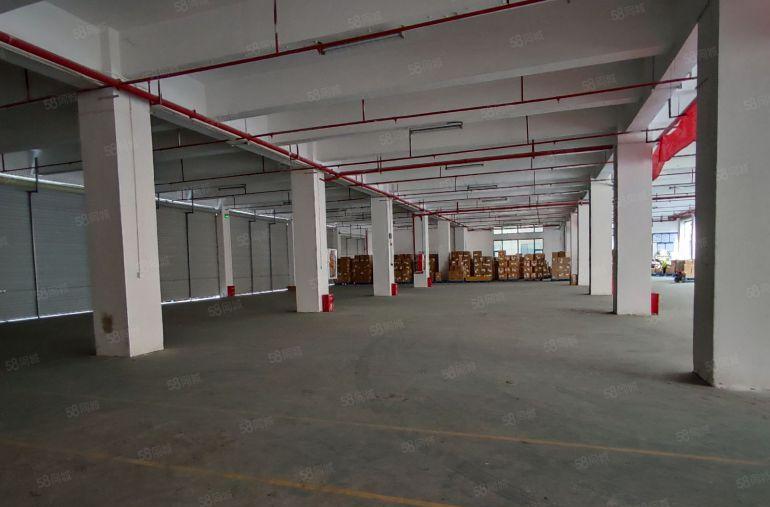 南山科技园新出一楼500平方厂房仓库超大空地带消防喷淋出租