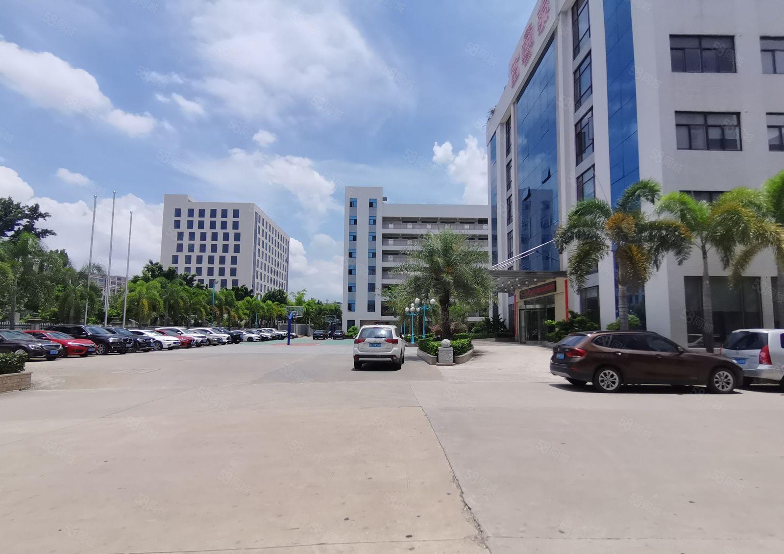 光明12000高新补贴厂 房出租，免租半年1000平起