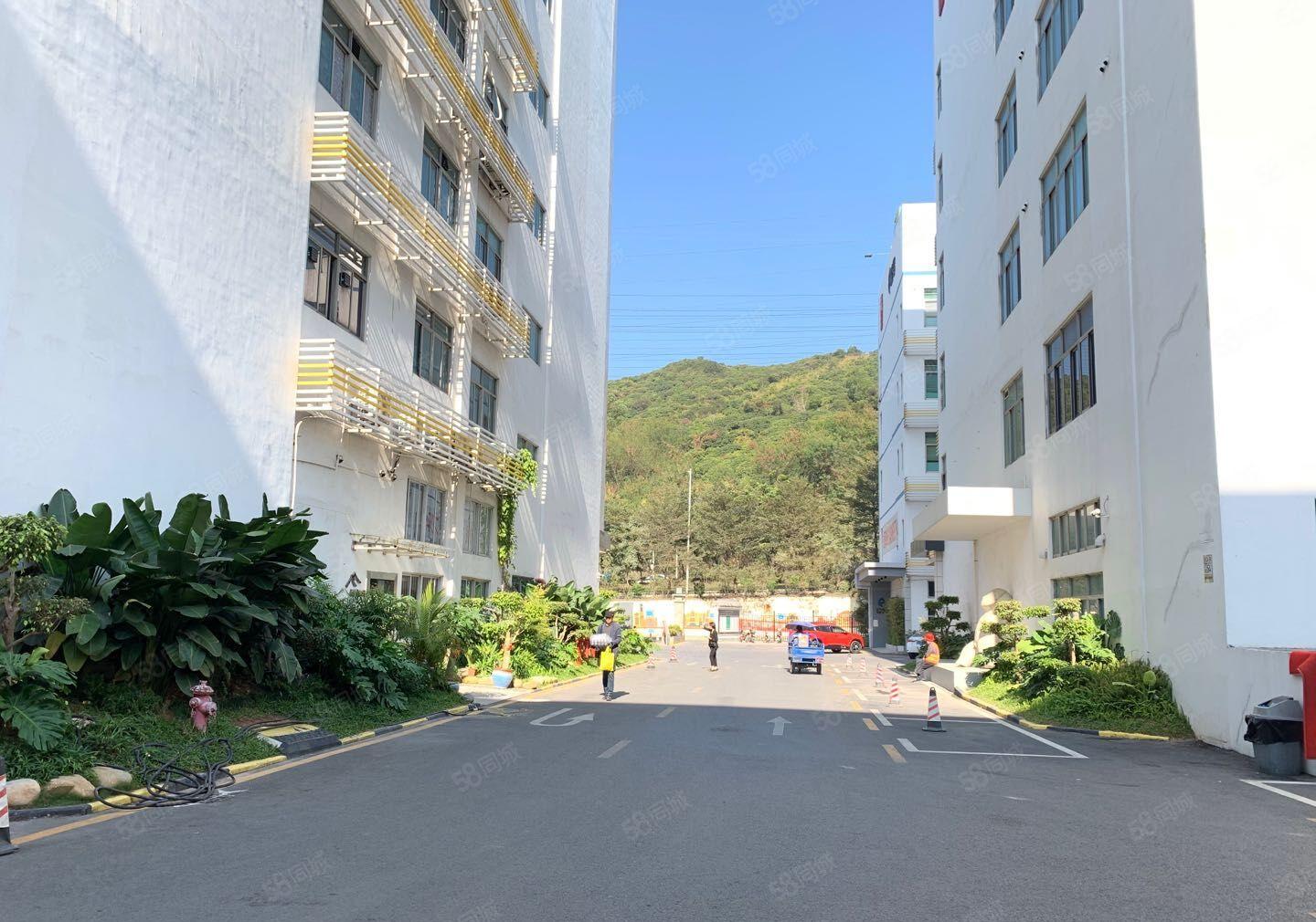 南山西丽文化园300，1300平精装修装修，一房东直租