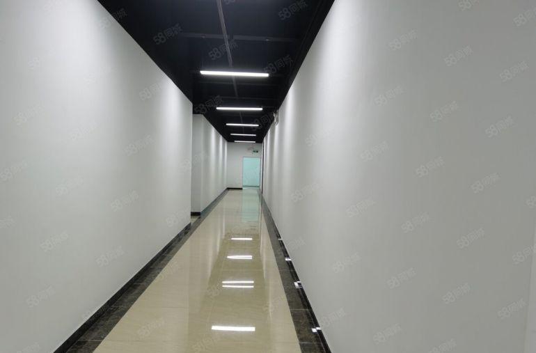 南山西丽高薪智能产业园210，500平采光通透，落地大窗