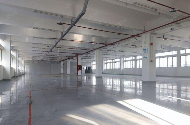 南山西丽科学城厂房整层1070平，仅租25元。停车便利