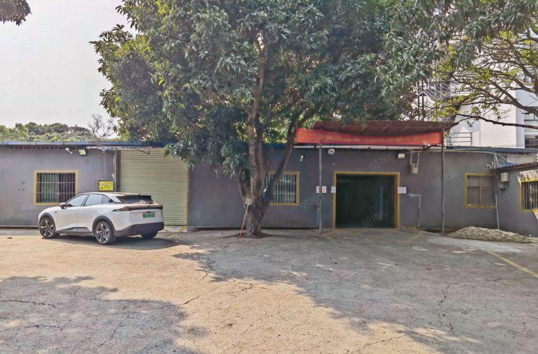 西丽 新出独门独院钢构厂房1800平 租金35元 不限行业