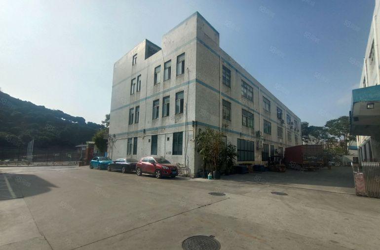 南山西丽原房东2楼整层1200平，大空层，实面出租，30元