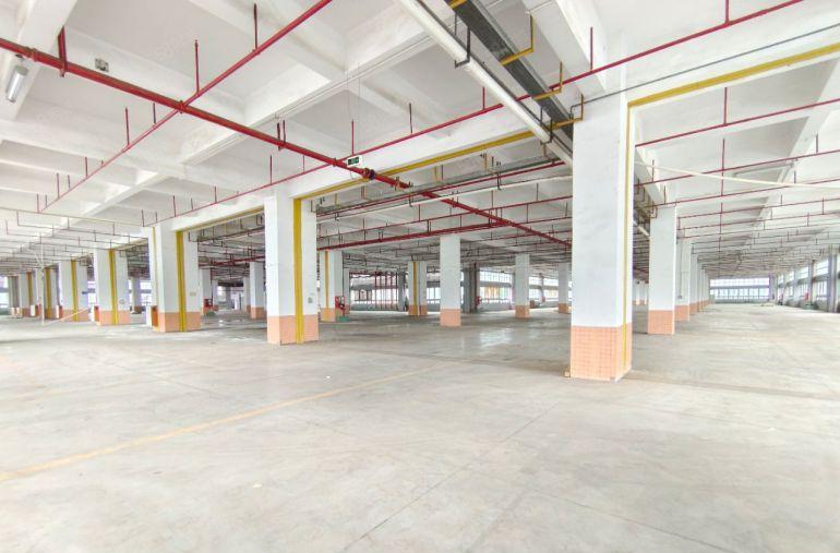 塘厦新出独门独院4万平标准厂房，带卸货平台，空地超大，原房东