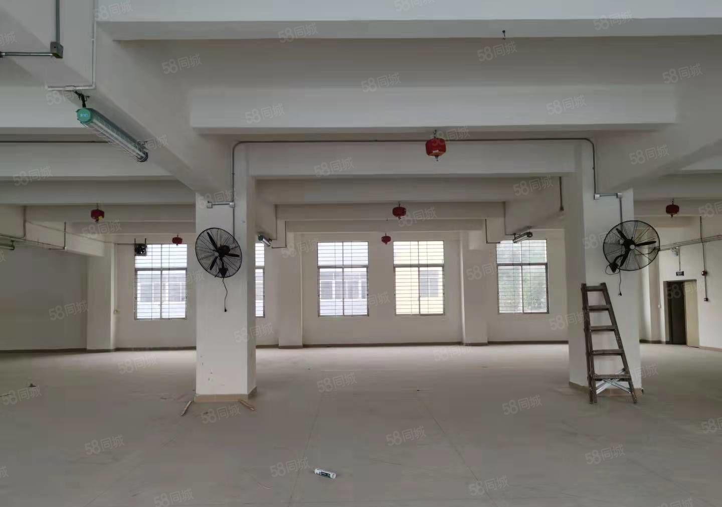 原房东独门独院每层1716平可分租，加工仓储办公等价格好谈