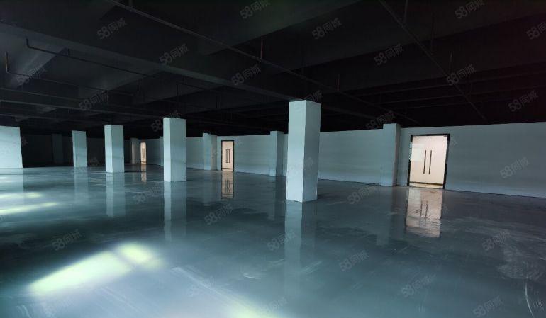 南山西丽高薪智能产业园500，1000平大小可分租，仅29元