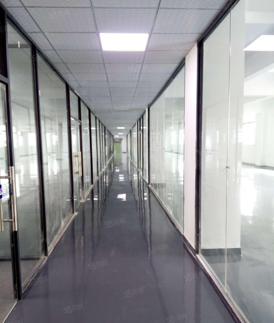 西丽地铁站附近260平带装修，电商，办公，生产均可