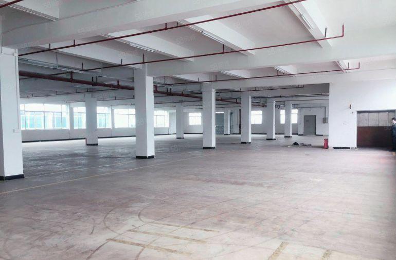 独门独院12500平出租一楼高6米不限行业。