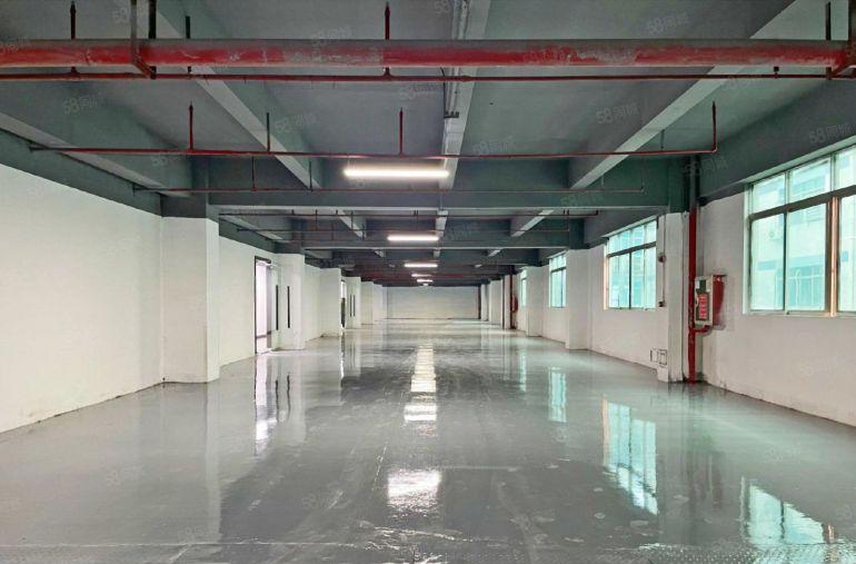 南山西丽高新园 145平至3000平 全新装修可组合租金便宜